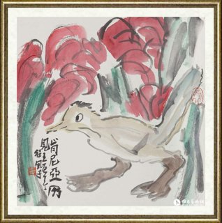 程风子_非洲鸟