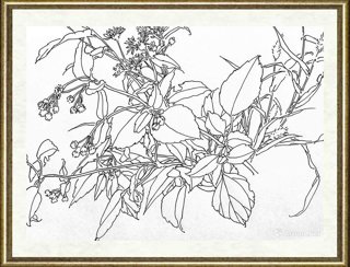 邢诚爱_作品104