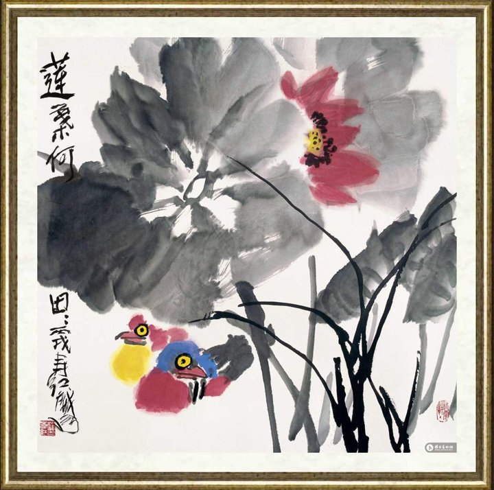 庄寿红_莲叶何田田