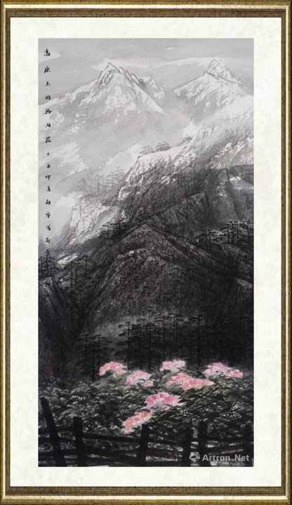董继宁_高原上的格桑花