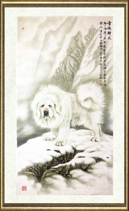 吕维超_雪域神犬