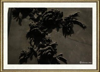 沈敏_黑花008