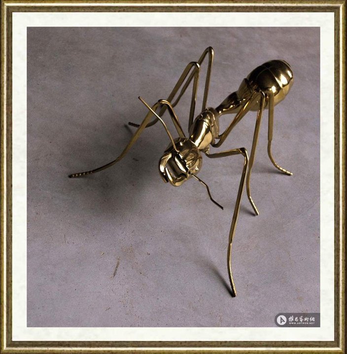 陈志光_金蚂蚁2