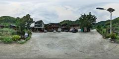 12寨蒿镇寿洞村（17）_寿洞村09-古树2
