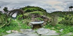 12寨蒿镇寿洞村（17）_寿洞村12-古井3